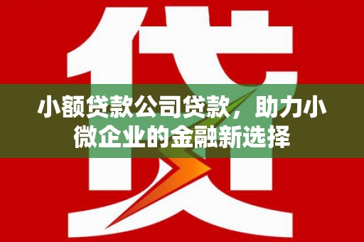 界首小额贷款公司贷款，助力小微企业的金融新选择