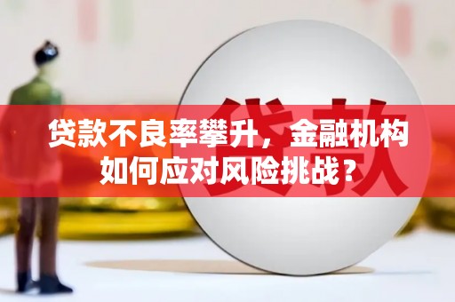 界首贷款不良率攀升，金融机构如何应对风险挑战？