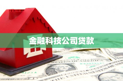 界首金融科技公司贷款