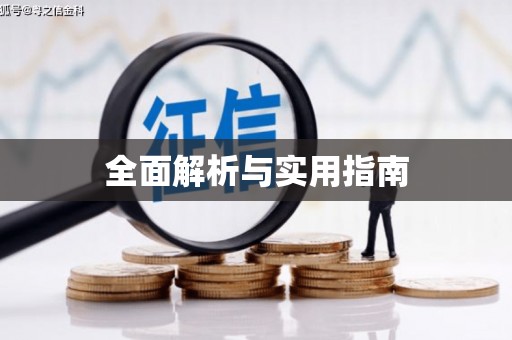 界首全面解析与实用指南