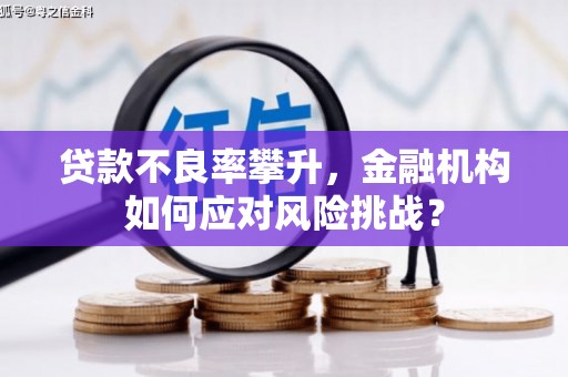 界首贷款不良率攀升，金融机构如何应对风险挑战？