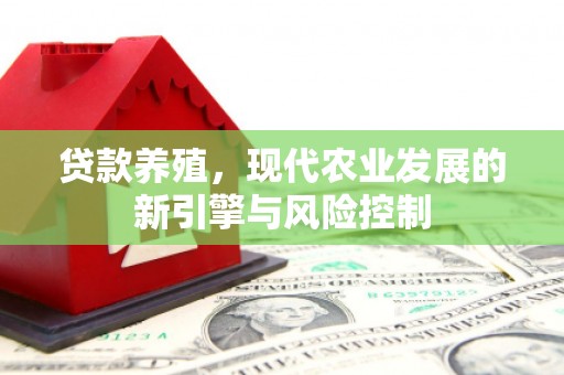 界首贷款养殖，现代农业发展的新引擎与风险控制