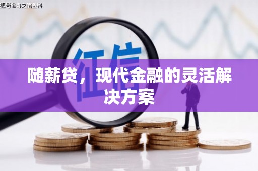 界首随薪贷，现代金融的灵活解决方案