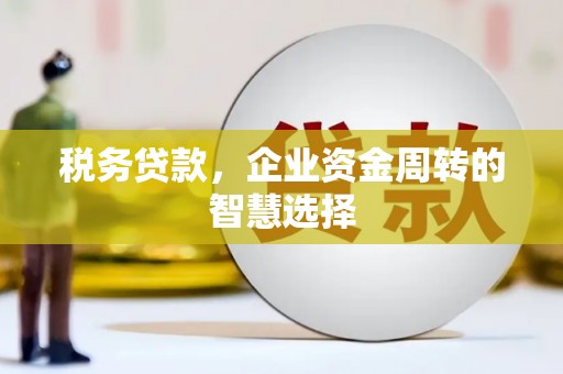 界首税务贷款，企业资金周转的智慧选择
