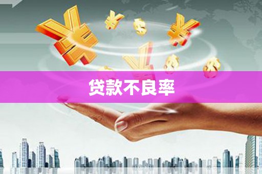 界首贷款不良率