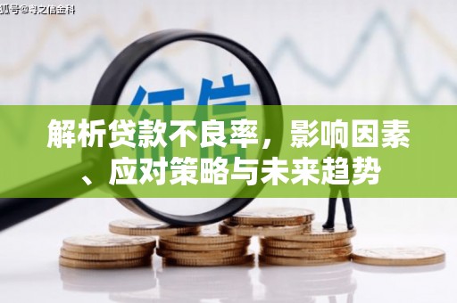 界首解析贷款不良率，影响因素、应对策略与未来趋势