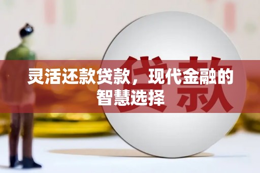 界首灵活还款贷款，现代金融的智慧选择