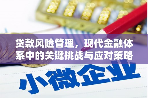 界首贷款风险管理，现代金融体系中的关键挑战与应对策略