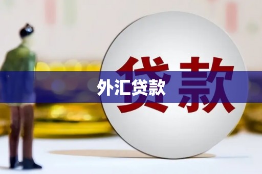 界首外汇贷款