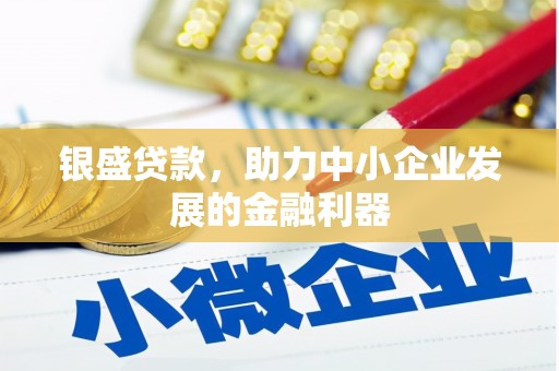 界首银盛贷款，助力中小企业发展的金融利器