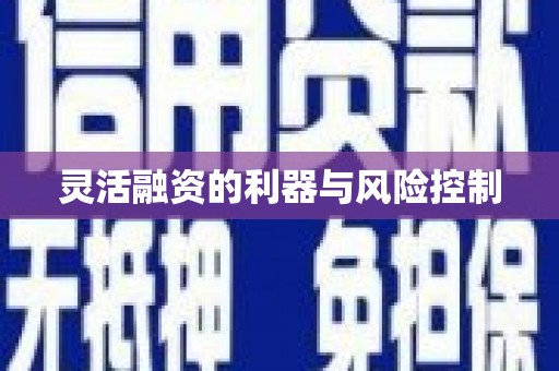 界首灵活融资的利器与风险控制
