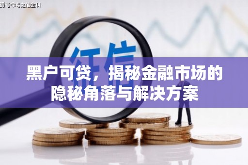 界首黑户可贷，揭秘金融市场的隐秘角落与解决方案