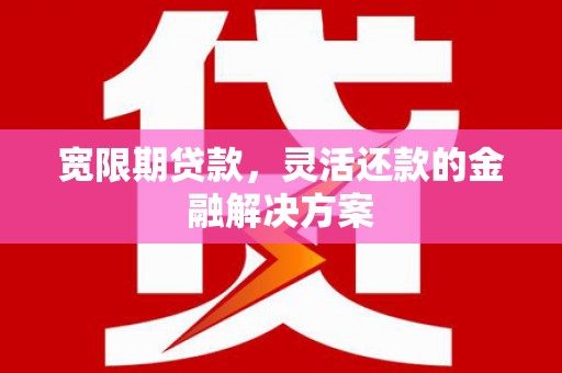 界首宽限期贷款，灵活还款的金融解决方案