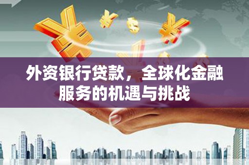 界首外资银行贷款，全球化金融服务的机遇与挑战