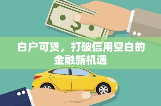 界首白户可贷，打破信用空白的金融新机遇