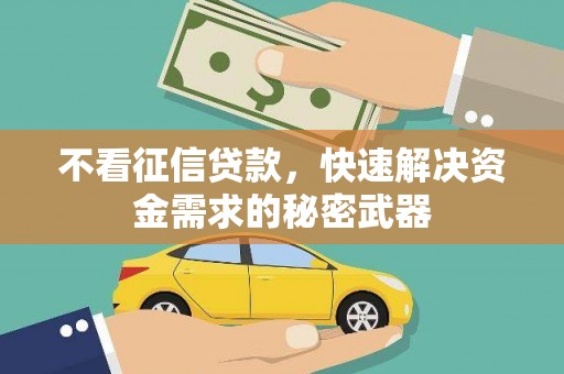 界首不看征信贷款，快速解决资金需求的秘密武器