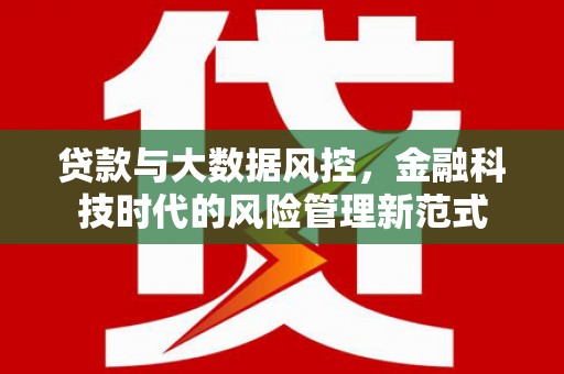 界首贷款与大数据风控，金融科技时代的风险管理新范式