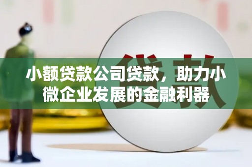 界首小额贷款公司贷款，助力小微企业发展的金融利器