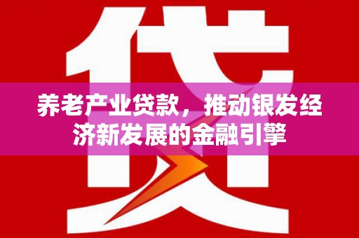 界首养老产业贷款，推动银发经济新发展的金融引擎