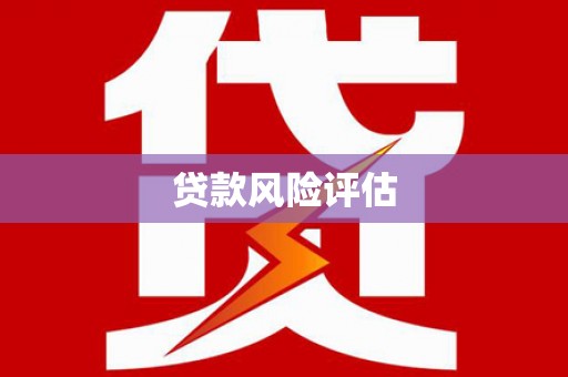 界首贷款风险评估