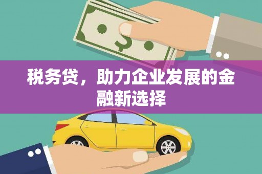 界首税务贷，助力企业发展的金融新选择