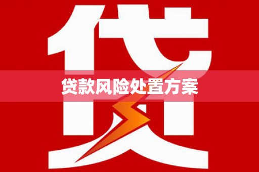 界首贷款风险处置方案