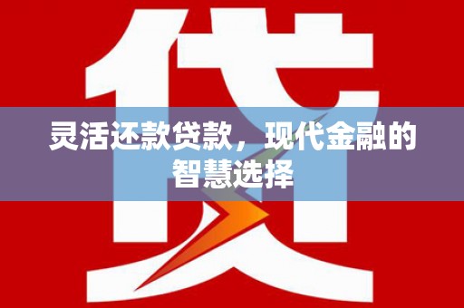 界首灵活还款贷款，现代金融的智慧选择