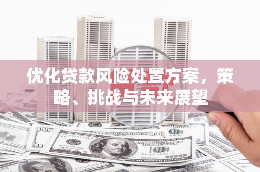 界首优化贷款风险处置方案，策略、挑战与未来展望