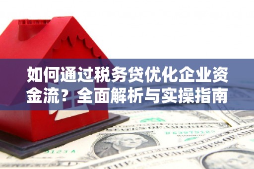 界首如何通过税务贷优化企业资金流？全面解析与实操指南