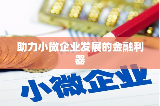 界首助力小微企业发展的金融利器