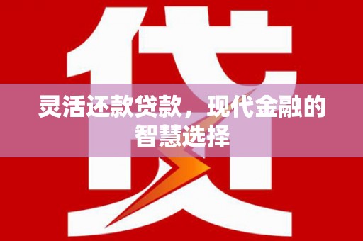 界首灵活还款贷款，现代金融的智慧选择