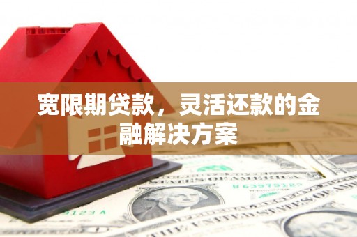 界首宽限期贷款，灵活还款的金融解决方案