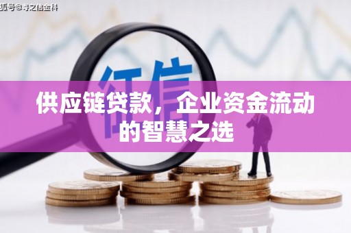 界首供应链贷款，企业资金流动的智慧之选