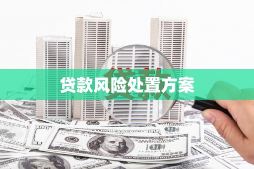 界首贷款风险处置方案