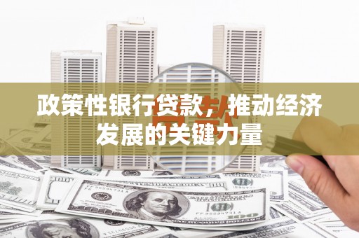 界首政策性银行贷款，推动经济发展的关键力量