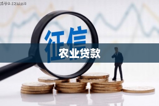界首农业贷款