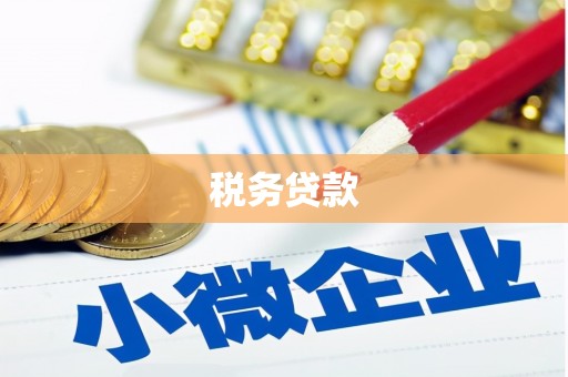 界首税务贷款