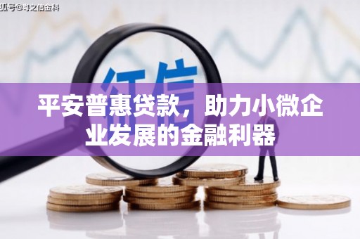 界首平安普惠贷款，助力小微企业发展的金融利器