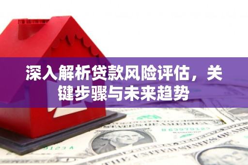 界首深入解析贷款风险评估，关键步骤与未来趋势