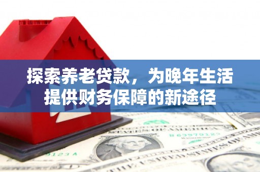 界首探索养老贷款，为晚年生活提供财务保障的新途径