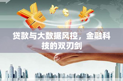 界首贷款与大数据风控，金融科技的双刃剑