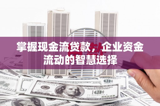 界首掌握现金流贷款，企业资金流动的智慧选择