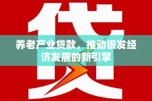 界首养老产业贷款，推动银发经济发展的新引擎