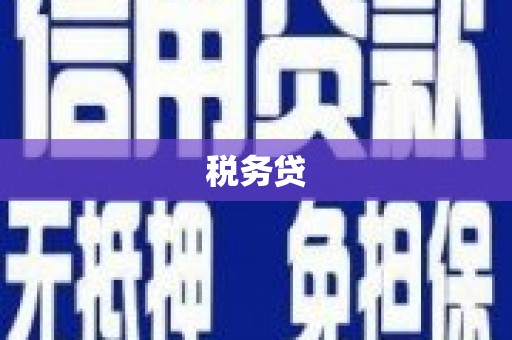 界首税务贷