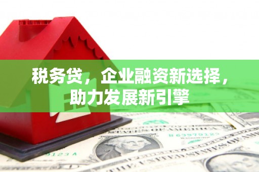 界首税务贷，企业融资新选择，助力发展新引擎