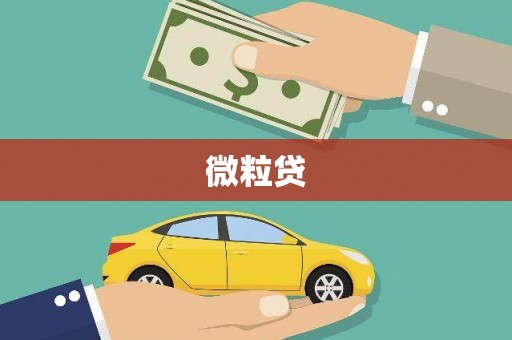 界首微粒贷