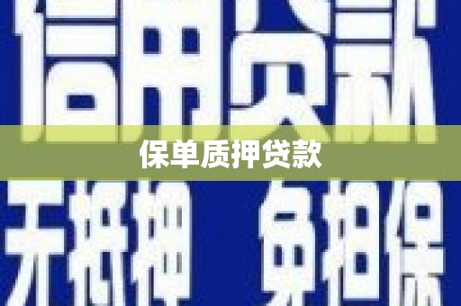 界首保单质押贷款