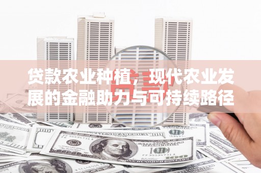 界首贷款农业种植，现代农业发展的金融助力与可持续路径