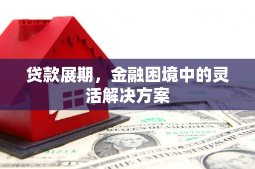 界首贷款展期，金融困境中的灵活解决方案