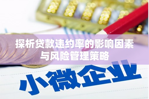 界首探析贷款违约率的影响因素与风险管理策略